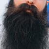 foto do perfil barbudo27